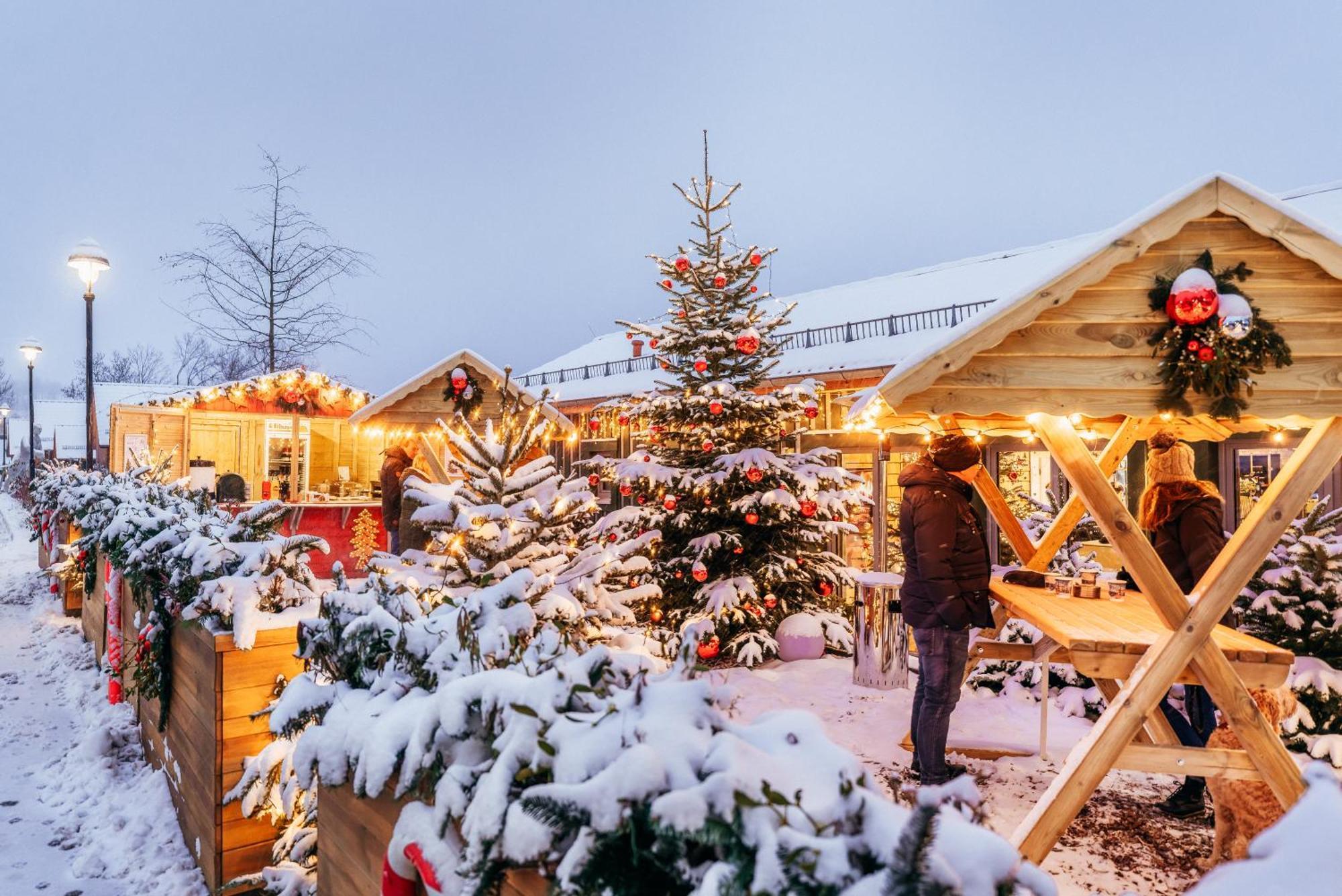 Das Schierke Harzresort ภายนอก รูปภาพ